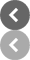 Primary Raster logo